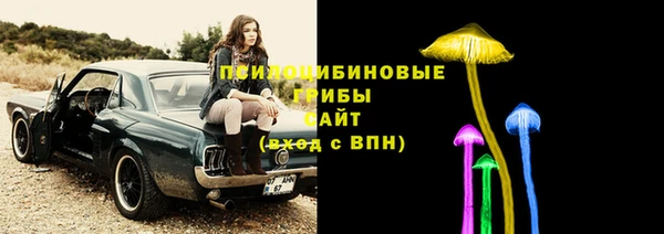 дурь Вяземский