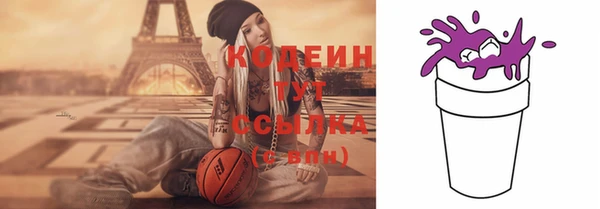дурь Вяземский