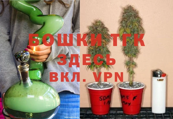 дурь Вяземский